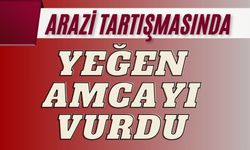 Arazi tartışmasında yeğen amcayı vurdu