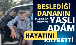 Beslediği dananın saldırısına uğrayan yaşlı adam hayatını kaybetti