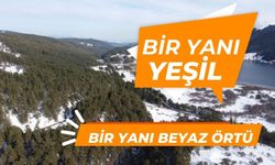 Bir yanı yeşil, bir yanı beyaz örtü