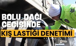 Bolu Dağı geçişinde kış lastiği denetimi