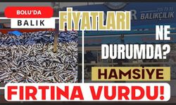 Bolu'da hamside fırtına etkisi!