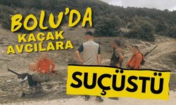 Bolu’da kaçak avcılara suçüstü