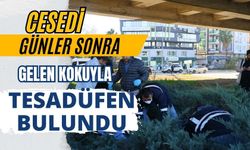 Cesedi günler sonra gelen kokuyla tesadüfen bulundu