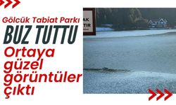 Gölcük Tabiat Parkı, buz tuttu: Ortaya güzel görüntüler çıktı