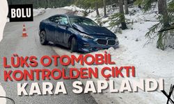 Lüks otomobil kontrolden çıktı, kara saplandı