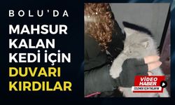 MAHSUR KALAN KEDİ İÇİN DUVARI KIRDILAR