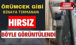 Örümcek gibi binaya tırmanan hırsız böyle görüntülendi