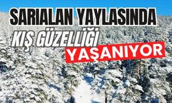 Sarıalan yaylasında kış güzelliği yaşanıyor