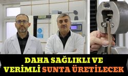 Daha sağlıklı ve verimli sunta üretilecek