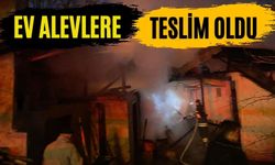 Ev alevlere teslim oldu