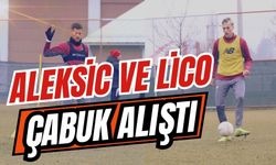 Aleksic ve Lico Çabuk Alıştı