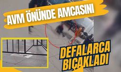 AVM önünde amcasını defalarca bıçakladı