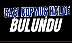 Başı kopmuş halde bulundu