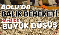 BOLU'DA BALIK BEREKETİ, HAMSİDE BÜYÜK DÜŞÜŞ