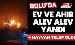 Bolu'da ev ve ahır alev alev yandı: 4 hayvan telef oldu