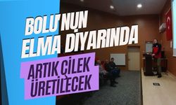 Bolu'nun elma diyarında artık çilek üretilecek