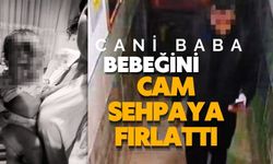 Cani baba bebeğini cam sehpaya fırlattı