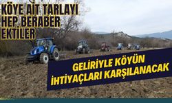 Köye ait tarlayı hep beraber ektiler: Geliriyle köyün ihtiyaçları karşılanacak