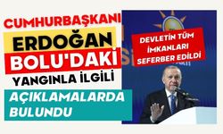 Cumhurbaşkanı Erdoğan, Bolu'daki yangınla ilgili açıklamalarda bulundu