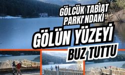 Gölcük Tabiat Parkı'ndaki gölün yüzeyi buz tuttu