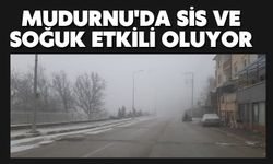 Mudurnu'da sis ve soğuk etkili oluyor