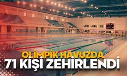 Olimpik havuzda 71 kişi zehirlendi