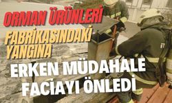 Orman ürünleri fabrikasındaki yangına erken müdahale faciayı önledi