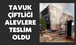 Tavuk çiftliği alevlere teslim oldu