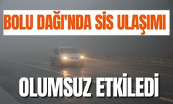 Bolu Dağı'nda sis ulaşımı olumsuz etkiledi