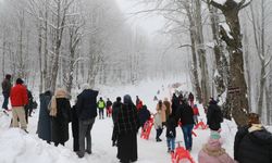 Akyazı'da kızak şenliği başladı