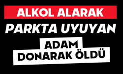 Alkol alarak parkta uyuyan adam donarak öldü