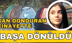 Kan donduran cinayette başa dönüldü