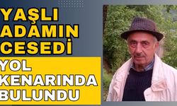 Yaşlı adamın cesedi yol kenarında bulundu