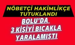 Nöbetçi hakimlikçe tutuklandı