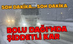 Bolu Dağı'nda şiddetli kar yağışı