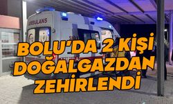 Bolu'da 2 kişi doğalgazdan zehirlendi