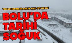 Bolu'da termometreler dondu