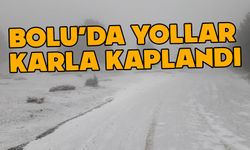 Bolu'da yollar karla kaplandı