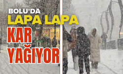 Bolu’ya lapa lapa kar yağıyor