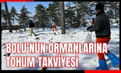 Bolu’nun ormanlarına tohum takviyesi