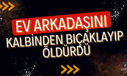 Ev arkadaşını kalbinden bıçaklayarak öldürdü