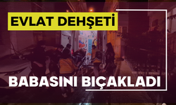 Evlat dehşeti: Babasını bıçakladı