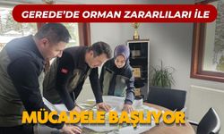 Gerede’de orman zararlıları ile mücadele başlıyor