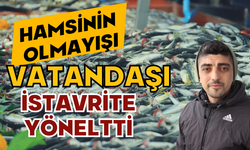 Hamsinin olmayışı, vatandaşı istavrite yöneltti