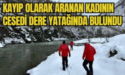 Kayıp olarak aranan kadının cesedi dere yatağında bulundu