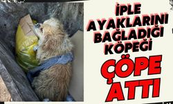 İple ayaklarını bağladığı köpeği çöpe attı