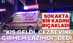 Sokakta bir kadını bıçakladı; "Kış geldi, cezaevine girmem lazımdı" dedi