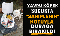 Yavru köpek soğukta "Sahiplenin" notuyla durağa bırakıldı