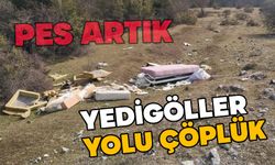 Yedigöller çöplük oldu