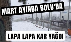 Mart ayında Bolu'da lapa lapa kar yağdı